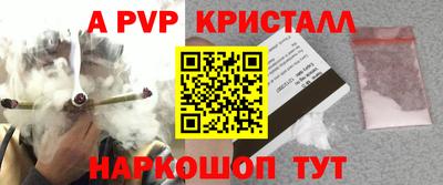 крисы Аша