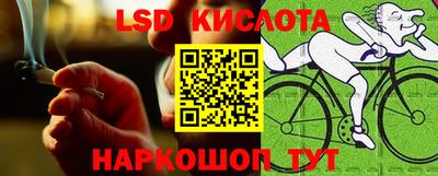 шишки Ачхой-Мартан