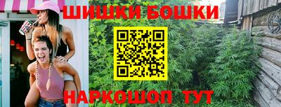 крисы Аша
