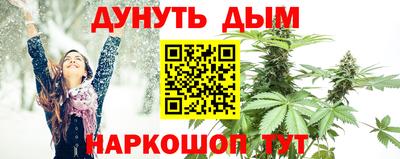 крисы Аша