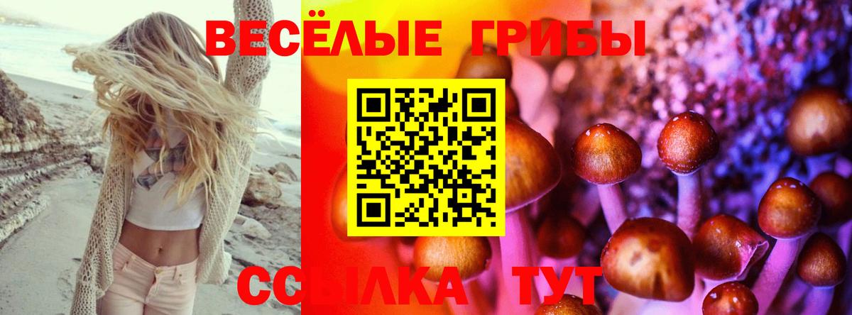 Галлюциногенные грибы прущие грибы  Вход с VPN  Орехово-Зуево  Псилоцибиновые грибы Magic Shrooms 